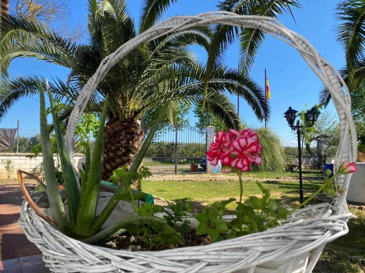 Hotel Rural Villa Torreaguilaバダホス エクステリア 写真