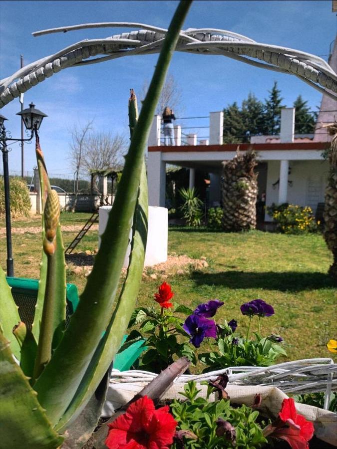 Hotel Rural Villa Torreaguilaバダホス エクステリア 写真